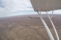 Lady Bush Pilot - African Tour - Flap 4