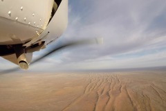 Lady Bush Pilot - African Tour - Flap 4