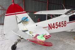 Lady Bush Pilot - African Tour - Flap 5