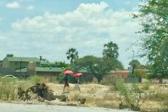 Lady Bush Pilot - African Tour - Flap 5
