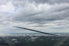 Lady Bush Pilot - Flap 5