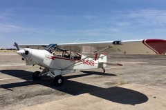 Lady Bush Pilot - Flap 5