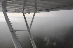 Lady Bush Pilot - Flap 5