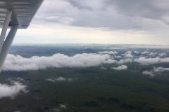 Lady Bush Pilot - Flap 5
