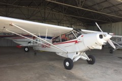 Lady Bush Pilot - Flap 5