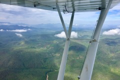 Lady Bush Pilot - Flap 5