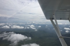 Lady Bush Pilot - Flap 5