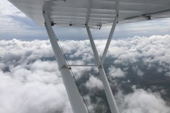 Lady Bush Pilot - Flap 5
