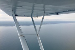 Lady Bush Pilot - Flap 5