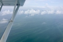 Lady Bush Pilot - Flap 5