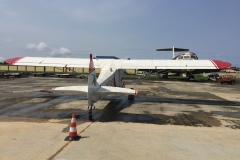 Lady Bush Pilot - African Tour - Flap 6