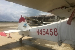 Lady Bush Pilot - African Tour - Flap 6