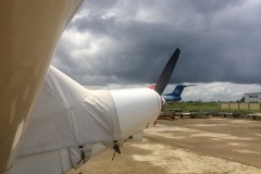 Lady Bush Pilot - African Tour - Flap 6