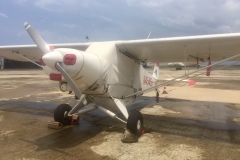 Lady Bush Pilot - African Tour - Flap 6