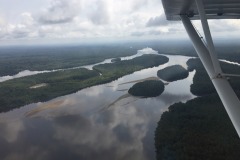 Lady Bush Pilot - Flap 6