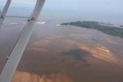 Lady Bush Pilot - Flap 6