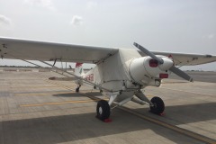 Lady Bush Pilot - Flap 6