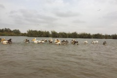 IMG_5873