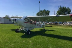 Lady Bush Pilot - Flap 7
