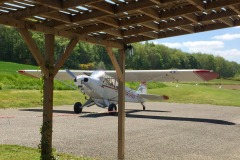 Lady Bush Pilot - Flap 7