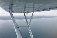 Lady Bush Pilot - African Tour - Flap 5