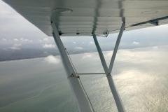 Lady Bush Pilot - African Tour - Flap 5