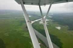 Lady Bush Pilot - African Tour - Flap 5
