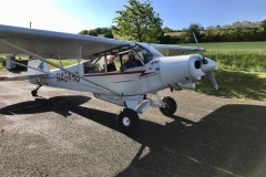 Lady Bush Pilot - African Tour - Flap 7
