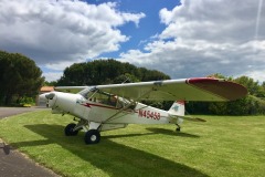 Lady Bush Pilot - African Tour - Flap 7