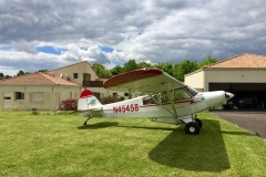 Lady Bush Pilot - African Tour - Flap 7