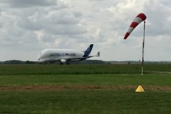 Lady Bush Pilot - African Tour - Flap 7