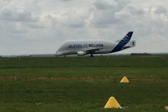 Lady Bush Pilot - African Tour - Flap 7