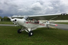 Lady Bush Pilot - African Tour - Flap 7