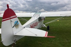 Lady Bush Pilot - African Tour - Flap 7