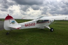 Lady Bush Pilot - African Tour - Flap 7