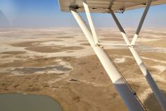 Lady Bush Pilot - African Tour - Flap 3