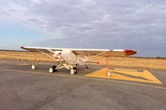 Lady Bush Pilot - African Tour - Flap 3
