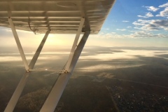 Lady Bush Pilot - African Tour - Flap 3