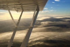 Lady Bush Pilot - African Tour - Flap 3