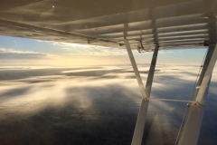 Lady Bush Pilot - African Tour - Flap 3