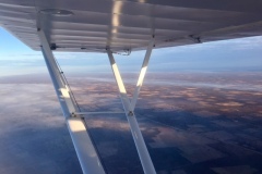 Lady Bush Pilot - African Tour - Flap 3