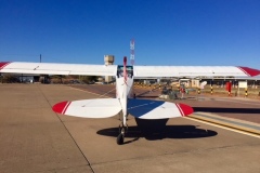 Lady Bush Pilot - African Tour - Flap 3