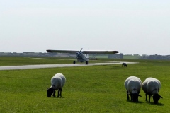 Lady Bush Pilot - French Trip