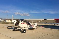 Lady Bush Pilot - African Tour - Flap 1