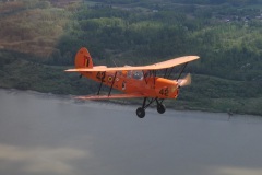 Lady Bush Pilot - Full Flaps