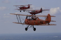Lady Bush Pilot - Full Flaps