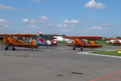 Lady Bush Pilot - Full Flaps