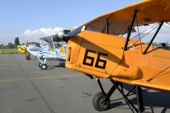 177_FullFlaps