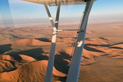 Lady Bush Pilot - African Tour - Flap 4