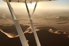 Lady Bush Pilot - African Tour - Flap 4